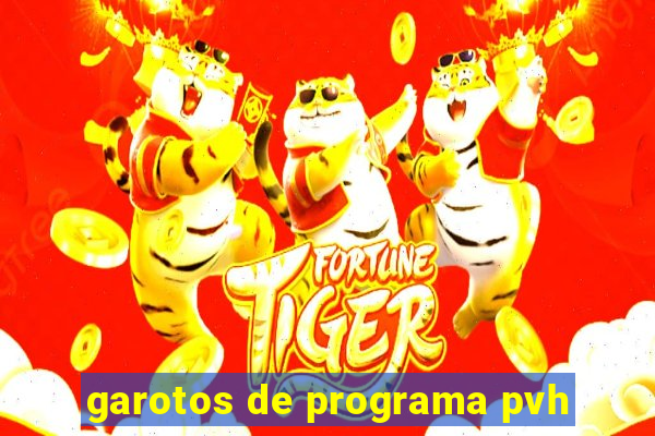 garotos de programa pvh